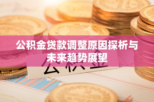 新兴公积金贷款调整原因探析与未来趋势展望