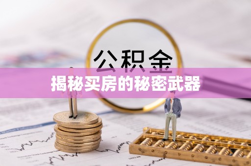 新兴揭秘买房的秘密武器