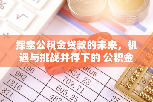 新兴探索公积金贷款的未来，机遇与挑战并存下的 公积金贷款风险防控