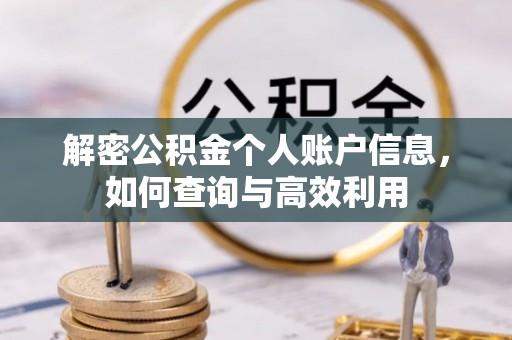 新兴解密公积金个人账户信息，如何查询与高效利用