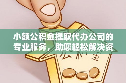 新兴小额公积金提取代办公司的专业服务，助您轻松解决资金难题