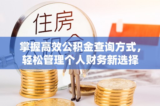 新兴掌握高效公积金查询方式，轻松管理个人财务新选择