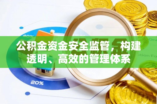 新兴公积金资金安全监管，构建透明、高效的管理体系