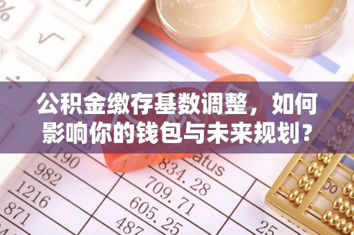 新兴公积金缴存基数调整，如何影响你的钱包与未来规划？