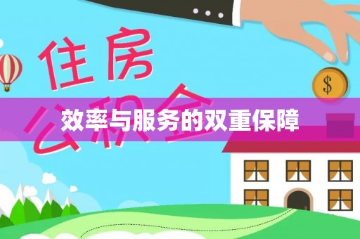 新兴效率与服务的双重保障