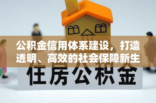 新兴公积金信用体系建设，打造透明、高效的社会保障新生态
