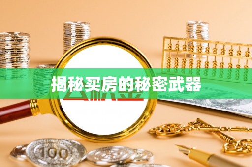 新兴揭秘买房的秘密武器