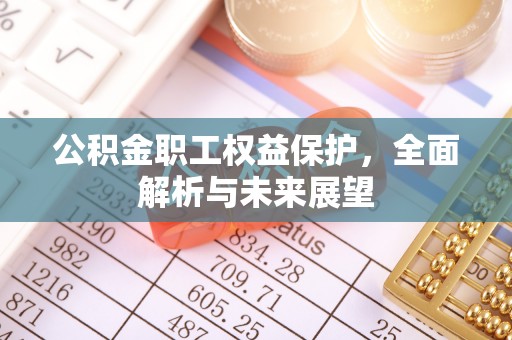 新兴公积金职工权益保护，全面解析与未来展望