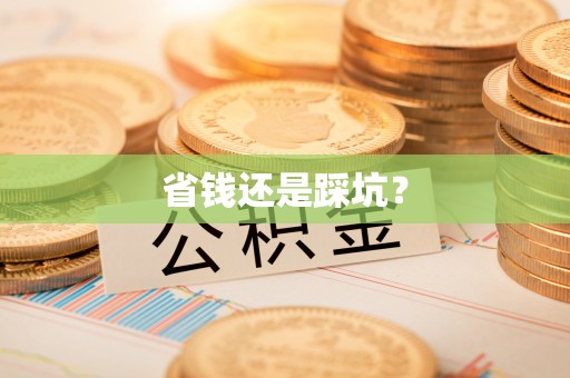 新兴省钱还是踩坑？
