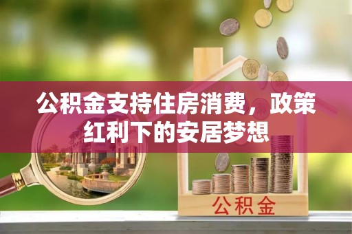 新兴公积金支持住房消费，政策红利下的安居梦想