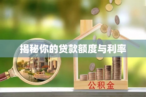 新兴揭秘你的贷款额度与利率