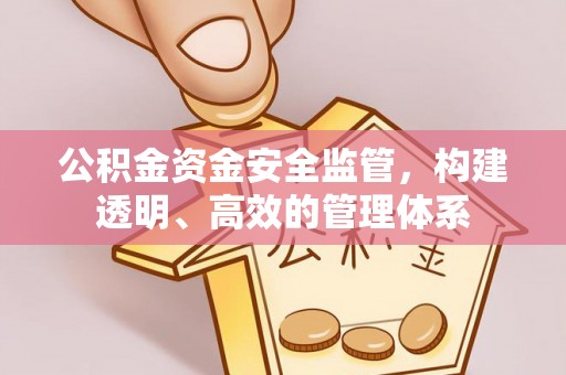 新兴公积金资金安全监管，构建透明、高效的管理体系