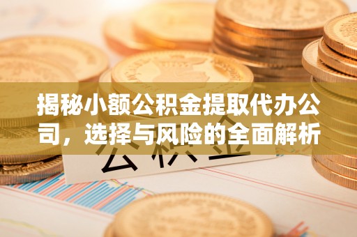 新兴揭秘小额公积金提取代办公司，选择与风险的全面解析