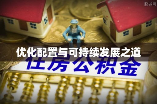 新兴优化配置与可持续发展之道