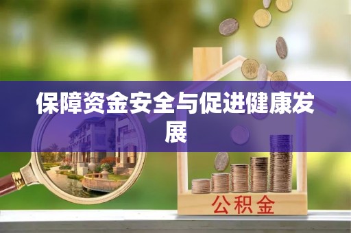 新兴保障资金安全与促进健康发展