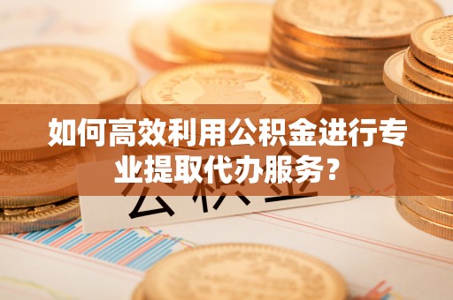 新兴如何高效利用公积金进行专业提取代办服务？