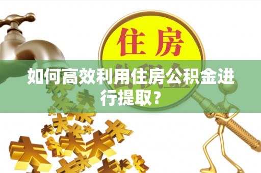 新兴如何高效利用住房公积金进行提取？