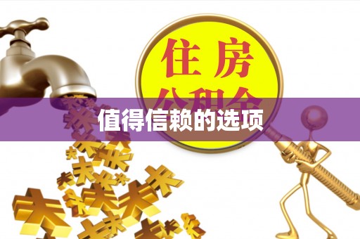 新兴值得信赖的选项