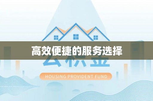 新兴高效便捷的服务选择