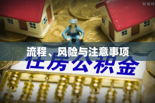 新兴流程、风险与注意事项