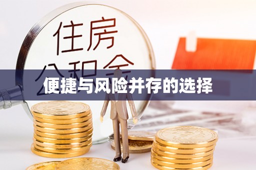 新兴便捷与风险并存的选择