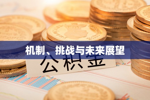 新兴机制、挑战与未来展望